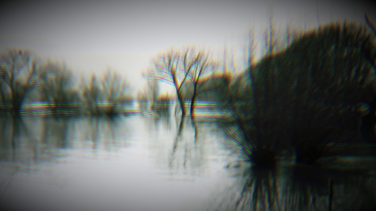 HORROR SWAMP | Free Stock Footage Archive