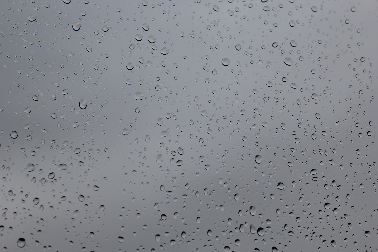 Raindrops - Rainy Textures - Free & Premium — Free Stock Footage Archive